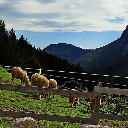 Agriturismo Maso Pertener -Adults Friendly- 科马诺泰梅 外观 照片
