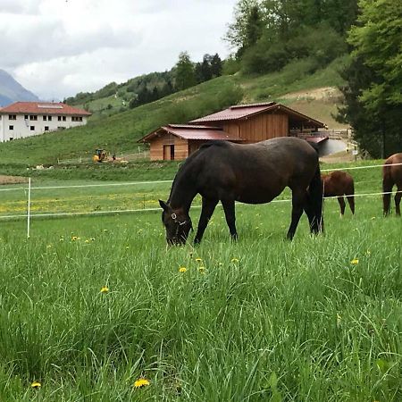 Agriturismo Maso Pertener -Adults Friendly- 科马诺泰梅 外观 照片
