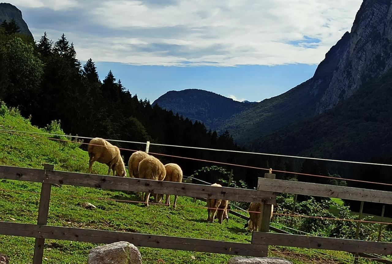 Agriturismo Maso Pertener -Adults Friendly- 科马诺泰梅 外观 照片