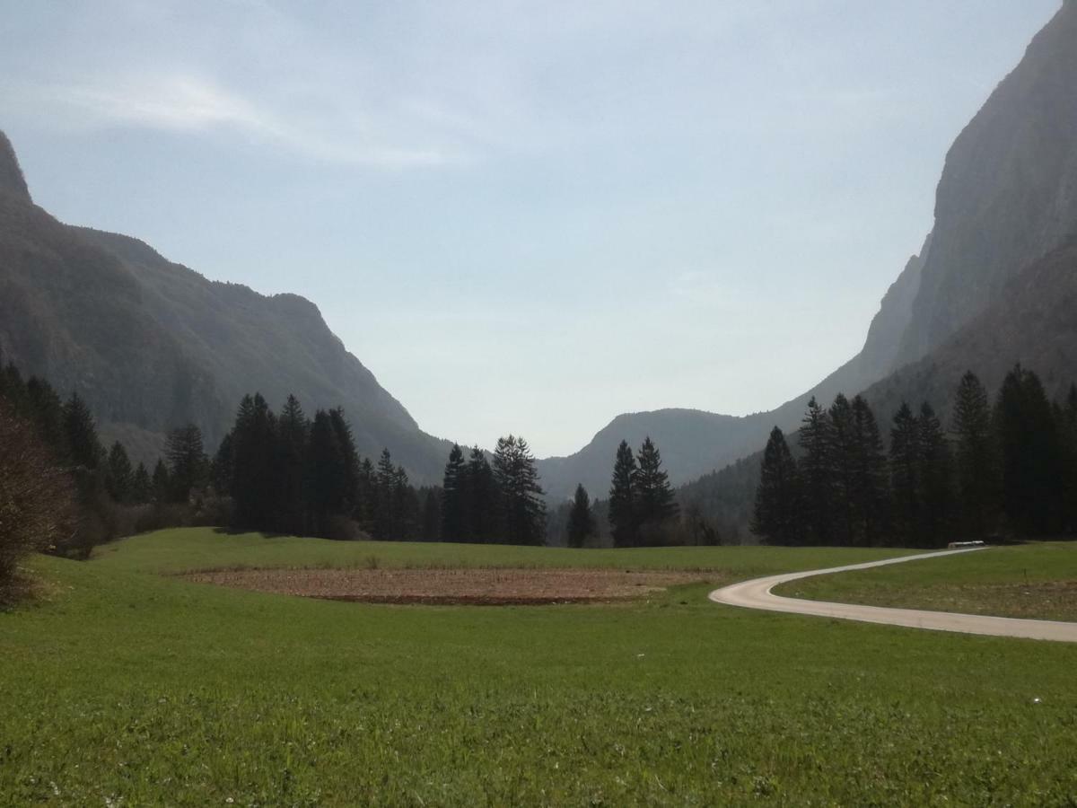Agriturismo Maso Pertener -Adults Friendly- 科马诺泰梅 外观 照片