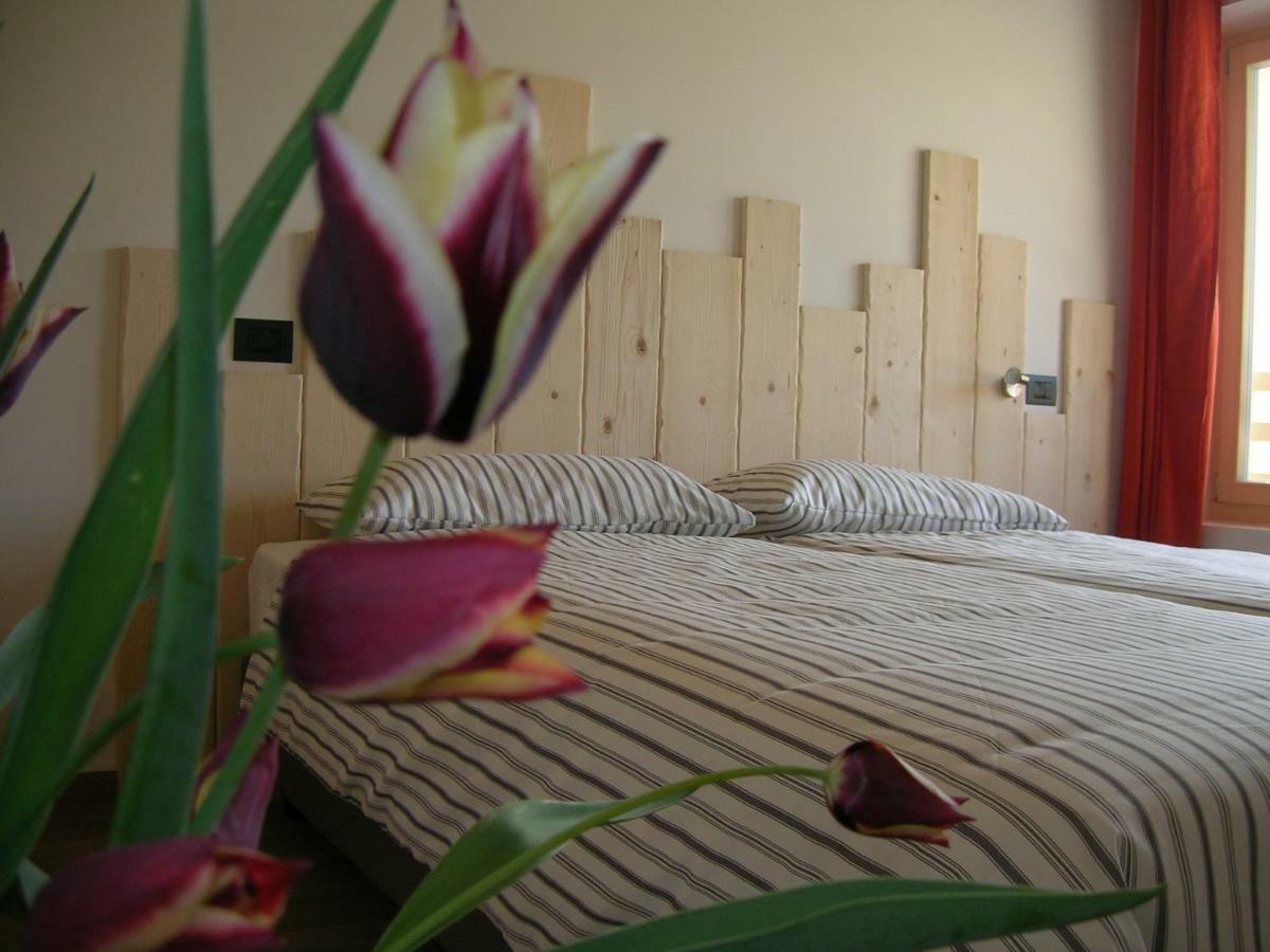 Agriturismo Maso Pertener -Adults Friendly- 科马诺泰梅 外观 照片
