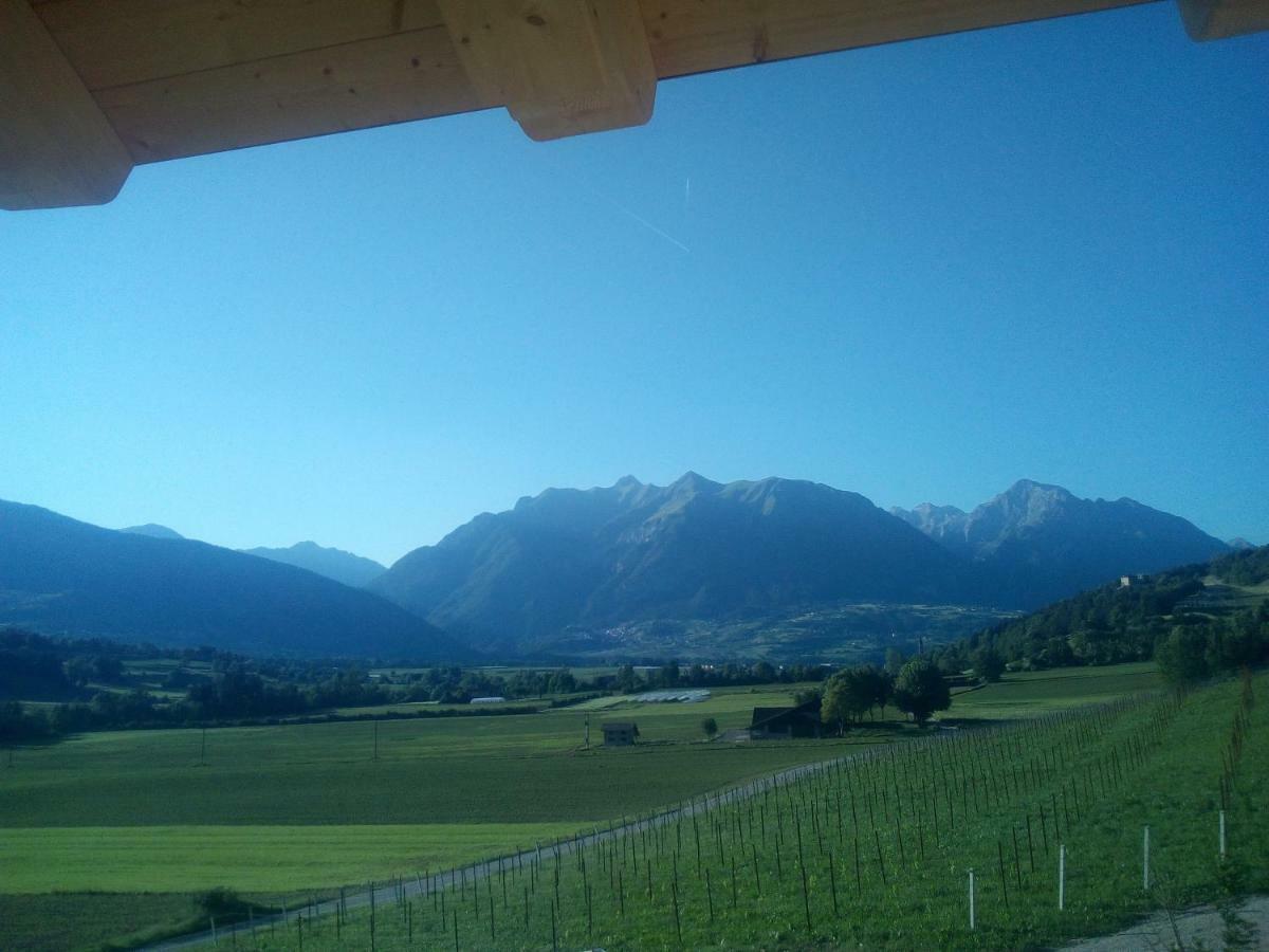 Agriturismo Maso Pertener -Adults Friendly- 科马诺泰梅 外观 照片