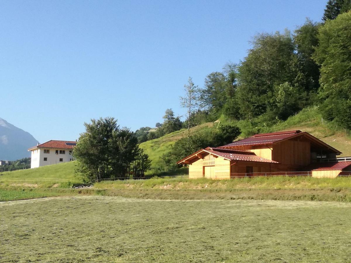 Agriturismo Maso Pertener -Adults Friendly- 科马诺泰梅 外观 照片