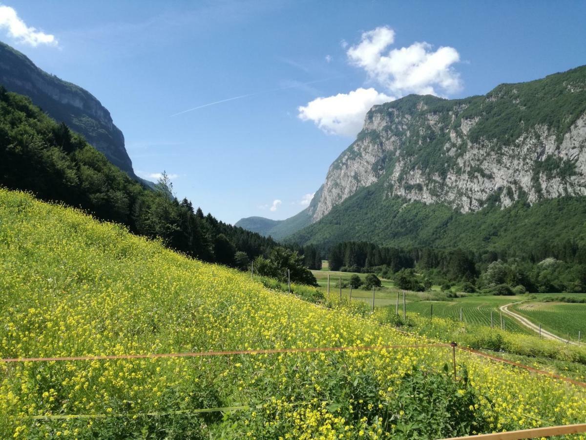 Agriturismo Maso Pertener -Adults Friendly- 科马诺泰梅 外观 照片