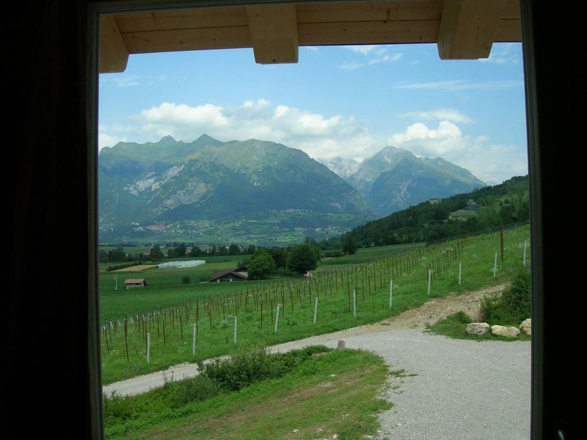 Agriturismo Maso Pertener -Adults Friendly- 科马诺泰梅 外观 照片