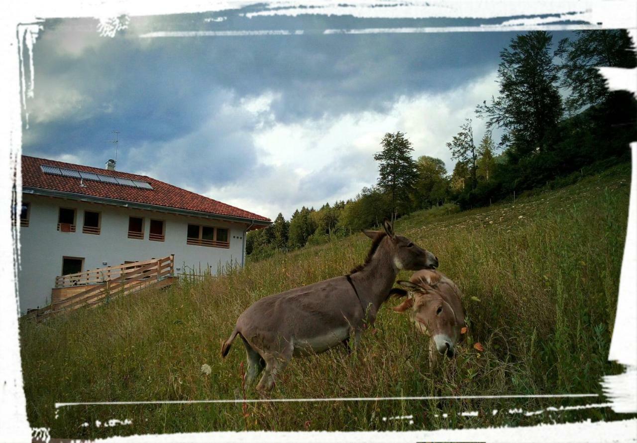 Agriturismo Maso Pertener -Adults Friendly- 科马诺泰梅 外观 照片