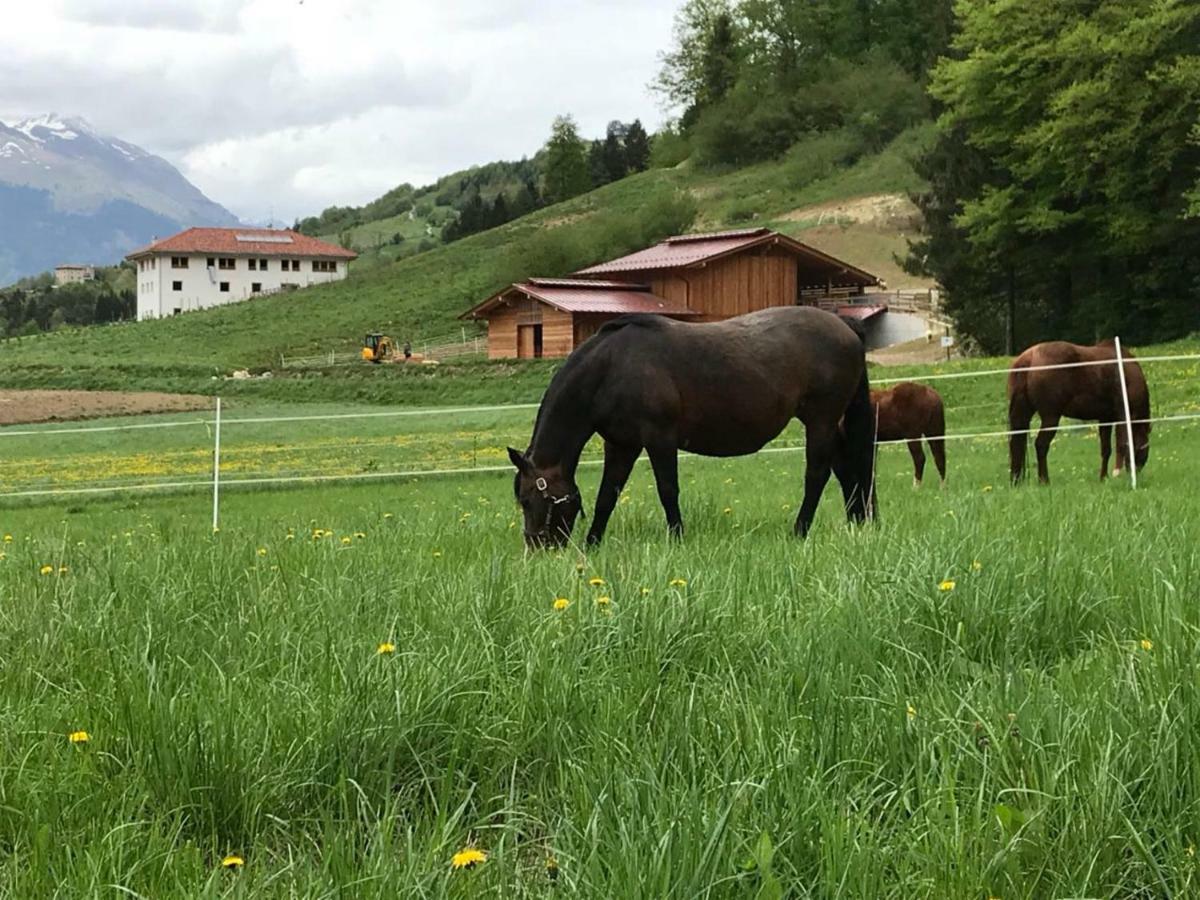 Agriturismo Maso Pertener -Adults Friendly- 科马诺泰梅 外观 照片