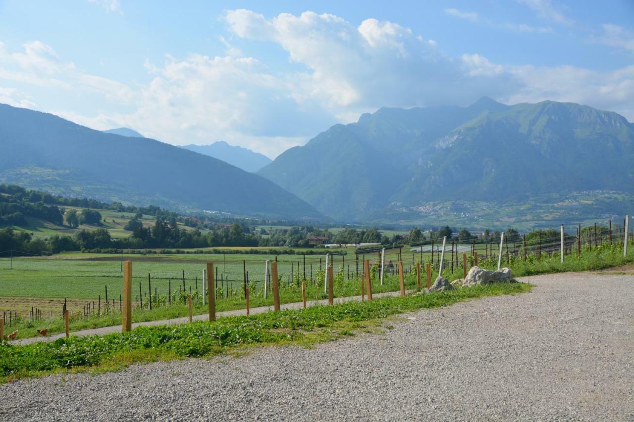 Agriturismo Maso Pertener -Adults Friendly- 科马诺泰梅 外观 照片