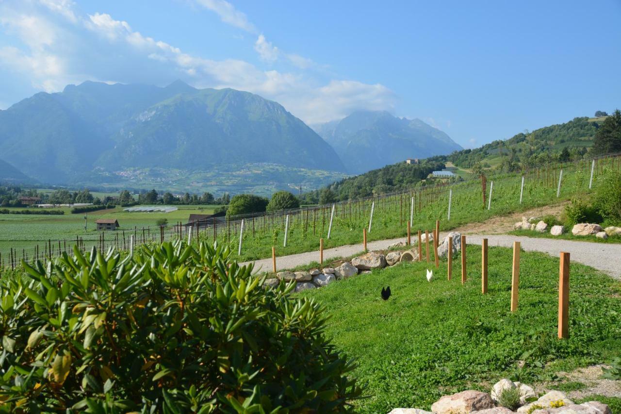Agriturismo Maso Pertener -Adults Friendly- 科马诺泰梅 外观 照片