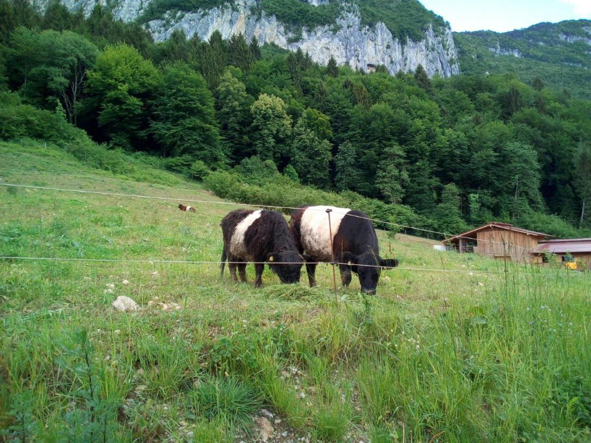 Agriturismo Maso Pertener -Adults Friendly- 科马诺泰梅 外观 照片