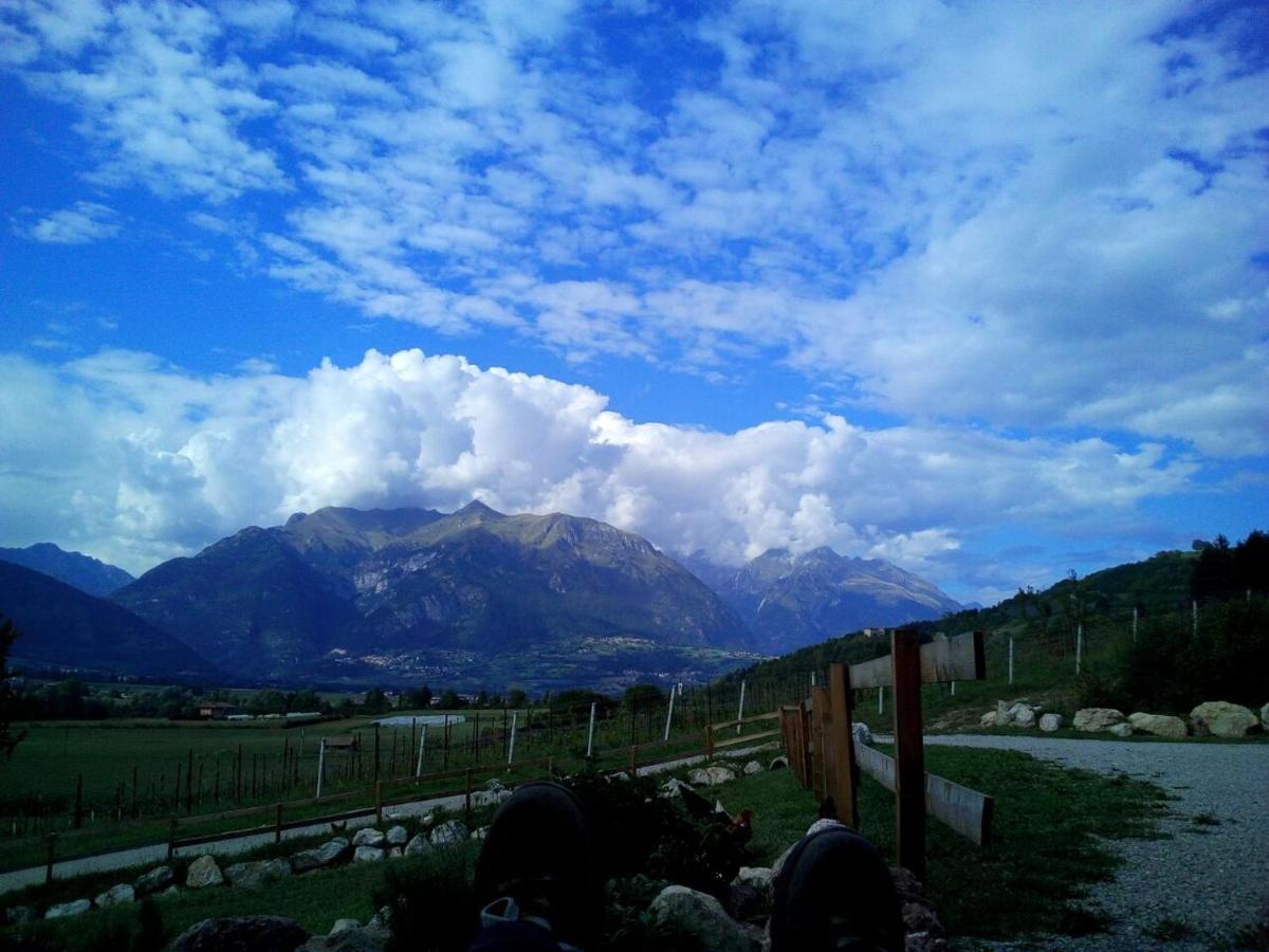 Agriturismo Maso Pertener -Adults Friendly- 科马诺泰梅 外观 照片