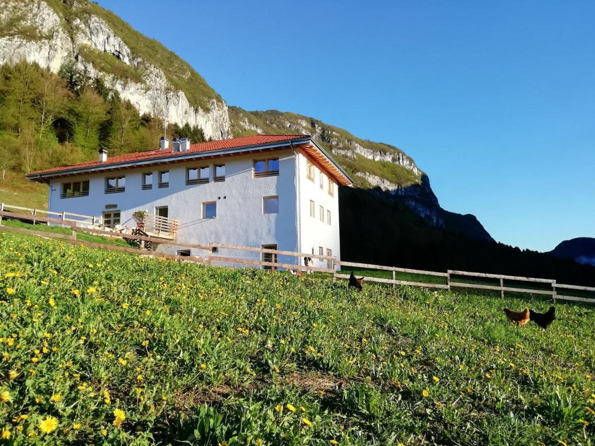 Agriturismo Maso Pertener -Adults Friendly- 科马诺泰梅 外观 照片