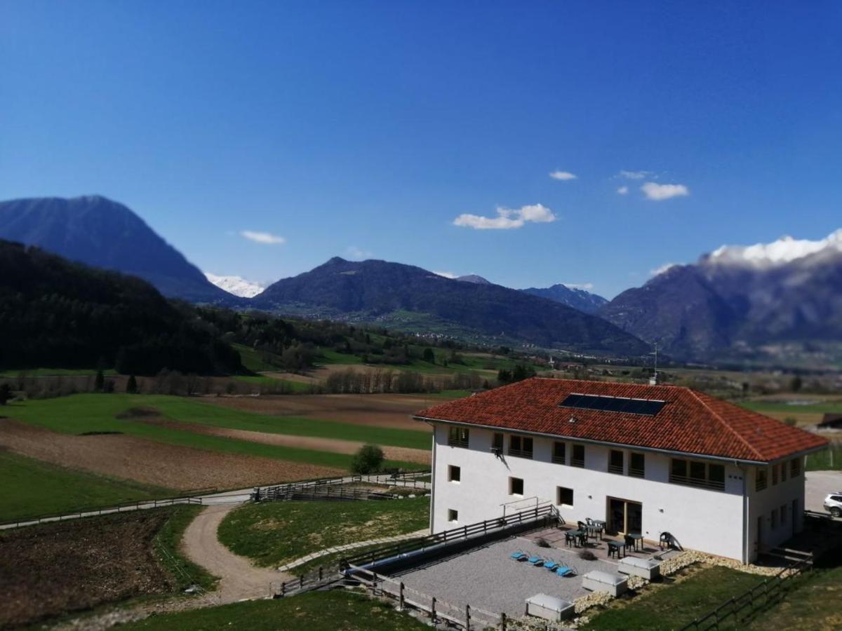 Agriturismo Maso Pertener -Adults Friendly- 科马诺泰梅 外观 照片